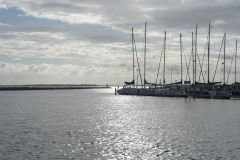 duik-oosterschelde-7-sept-2025_009-Groot