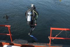 duik-oosterschelde-7-sept-2025_033-Groot