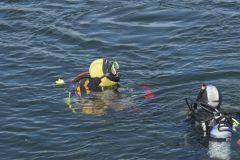 duik-oosterschelde-7-sept-2025_037-Groot