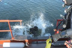 duik-oosterschelde-7-sept-2025_038-Groot