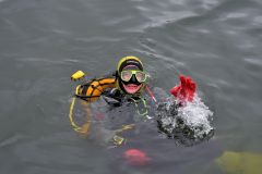 duik-oosterschelde-7-sept-2025_108-Groot