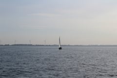 IMG_1491