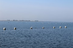 IMG_1511