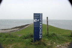 De aspergeduik van Dusky