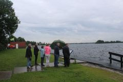 Dusky duikt in de Vinkeveenseplassen