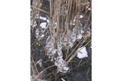 ijsduik_galderse_meren_20120229_1296759848