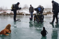 ijsduik_galderse_meren_20120229_2097755102