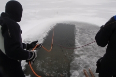 ijduik_20120126_1071337560