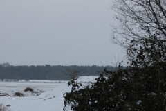 ijduik_20120126_1949098557