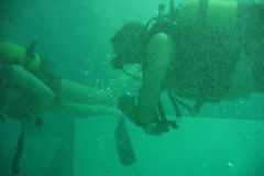 nemo33_20130409_1300314223