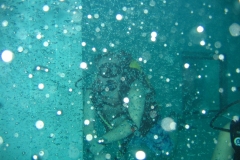 nemo33_20130409_1467295656
