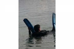 nieuwjaarsduik_20120206_1666784503