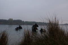 paasduik_20111110_1214670479