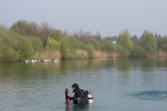 paasduik_20111110_1339632768