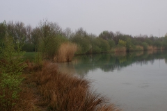 paasduik_20111110_1537004003