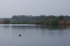 paasduik_20111110_1631012899