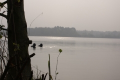 paasduik_20111110_1634728566