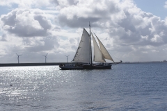 snertduik2009_20120124_1075676960