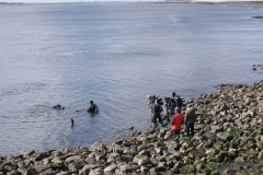 snertduik2009_20120124_2021756418