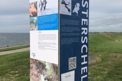 Snertduik oktober 2019