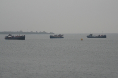 snertduik_oktober_20120125_1463754016