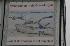 snertduik_oktober_20120125_2034427653