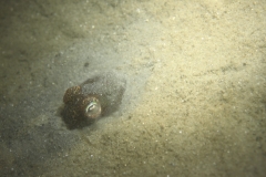 bergsche_diepsluis_20120715_1472632534