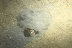 bergsche_diepsluis_20120715_1863771837