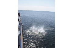 bootduik_ms_theo_20111107_1174449359