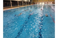 clubkampioenschappen2014_20140927_1300688491