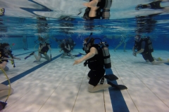diveclinic
