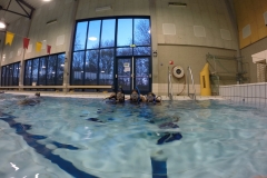 DCIM\100GOPRO