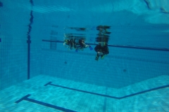 diveclinics-2017